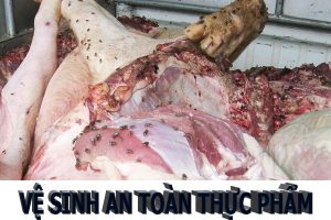 giấy chứng nhận vệ sinh an toàn thực phẩm